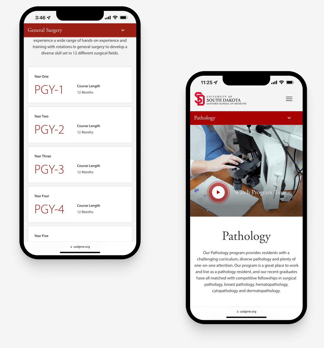 Mobile mockups of sections from different program pages showing responsive design